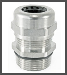 Stainless Steel Gland